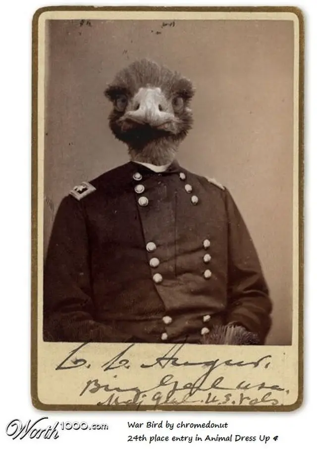 emu