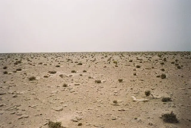 sahara